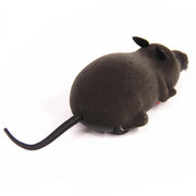 Remote Mouse cat Toy