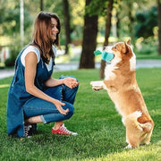 Interactive Treat Dispensing Toy for Pets