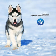 Adjustable Anti-Bark Training Collar for Dogs