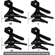 Dog Hind Leg Support and Mobility Assistance Belt