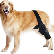 Dog Hind Leg Support and Mobility Assistance Belt