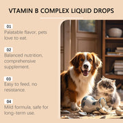 Vitamin B Complex Liquid Drops for Pets
