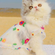 Floral Embroidery Mesh Dress for Cats and Small Dogs