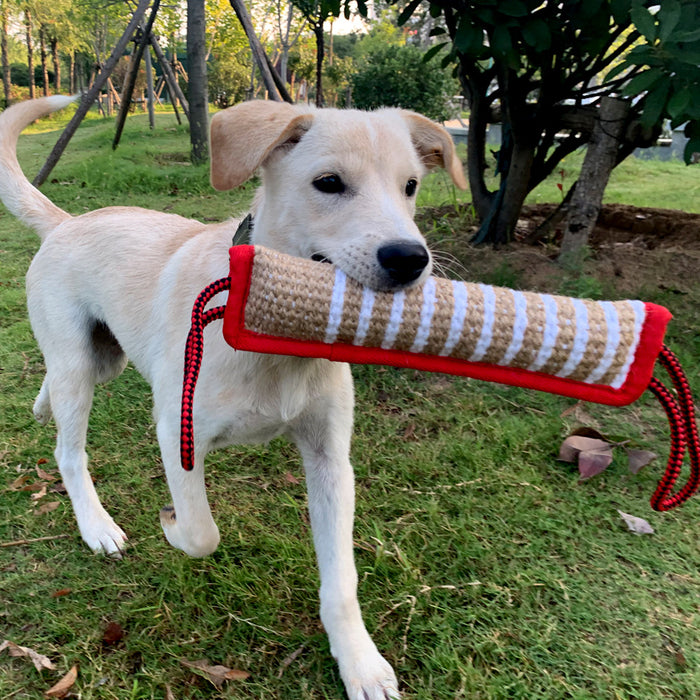 Natural Hemp Bite-Resistant Dog Chew Stick