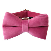 Leash and Rose Red Velvet Dog Collar Bow Tie