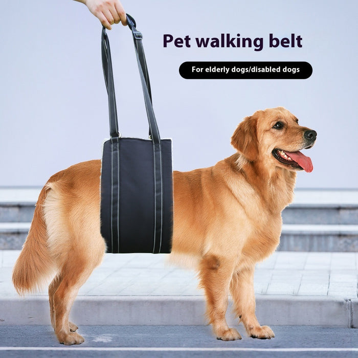 Adjustable Dog Rehabilitation and Support Training Belt