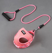 Secure Adjustable Harness for Small Dogs