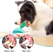 Interactive Treat Dispensing Toy for Pets