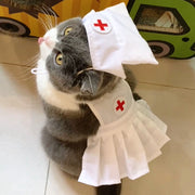 Fashionable Cat Dress Set for Special Occasions