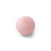 Cat Music Ball Sounds And Bites Toys