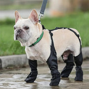 Waterproof Dog Boots Adjustable
