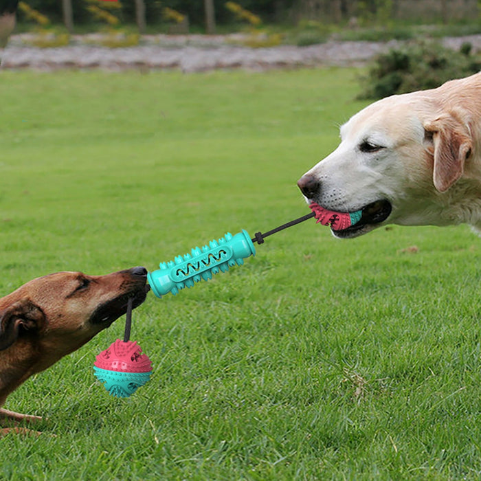 Durable Dog Tug of War Rope Toy