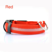 LED Safety Dog Collar for Night Visibility