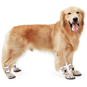 Waterproof Protective Shoes for Large Dogs