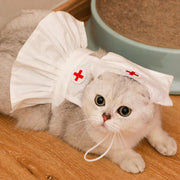 Fashionable Cat Dress Set for Special Occasions