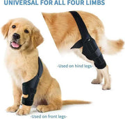 Dog Hind Leg Support and Mobility Assistance Belt