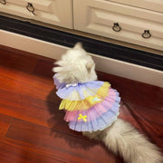 Elegant Lace Mesh Dress for Cats and Dogs