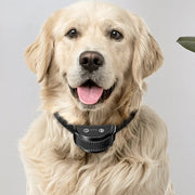 Adjustable Anti-Bark Training Collar for Dogs