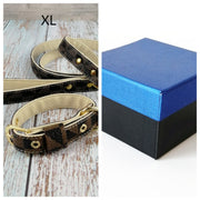 Classic Pet Collar with Leash Set