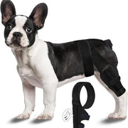 Dog Hind Leg Support and Mobility Assistance Belt