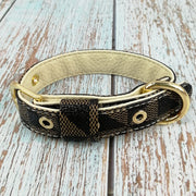 Classic Pet Collar with Leash Set