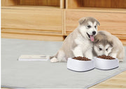 Digital Weighing Dog Food Bowl