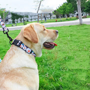 Floral Dog Harness and Leash Set