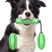 Durable Dog Tug of War Rope Toy