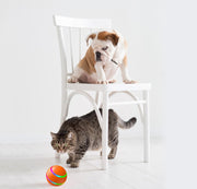USB Rechargeable Interactive Cat Ball Toy