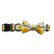 Floral Dog Harness and Leash Set