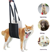 Adjustable Dog Rehabilitation and Support Training Belt
