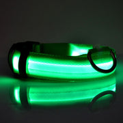 LED Safety Dog Collar for Night Visibility