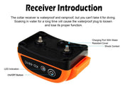 Wireless Electric Dog Fence System with Vibration
