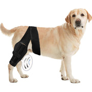 Dog Hind Leg Support and Mobility Assistance Belt