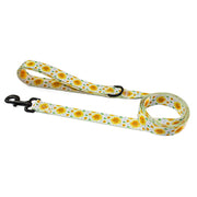 Floral Dog Harness and Leash Set