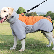 Waterproof Winter Dog Coat for Medium and Large Breeds