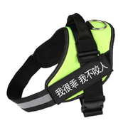 Personalized No-Pull Reflective Dog Harness