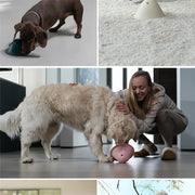 Durable Dog Chew Toy for All Breeds