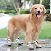 Waterproof Protective Shoes for Large Dogs