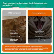 Cat Calming Pheromone Diffuser for Stress Relief