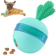 Interactive Treat Dispensing Toy for Pets