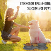 Foldable Rubber Travel Pet Feeding Bowl