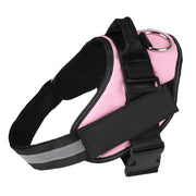 Personalized No-Pull Reflective Dog Harness