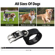 Wireless Electric Dog Fence System with Vibration