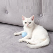 Cat Music Ball Sounds And Bites Toys