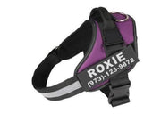 Personalized No-Pull Reflective Dog Harness