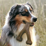 Durable Dog Molar Chew Rod for Dental Health