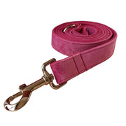 Leash and Rose Red Velvet Dog Collar Bow Tie