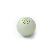 Cat Music Ball Sounds And Bites Toys