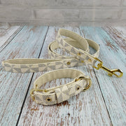 Classic Pet Collar with Leash Set